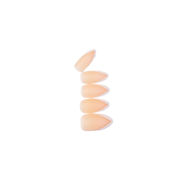 Loca Nails French stiltto shape (15)